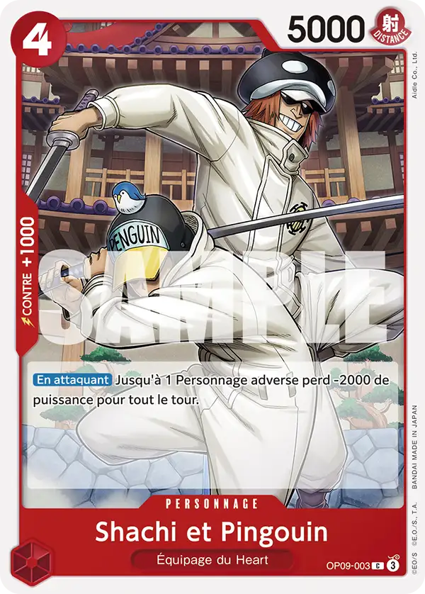 Shachi et Pingouin
